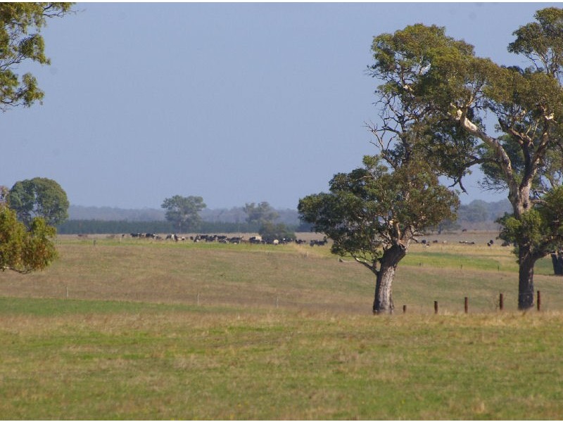 “Wayleen” Nambour Rd, Naracoorte SA 5271