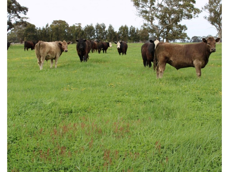 1020 Boddingtons West Road, Naracoorte SA 5271