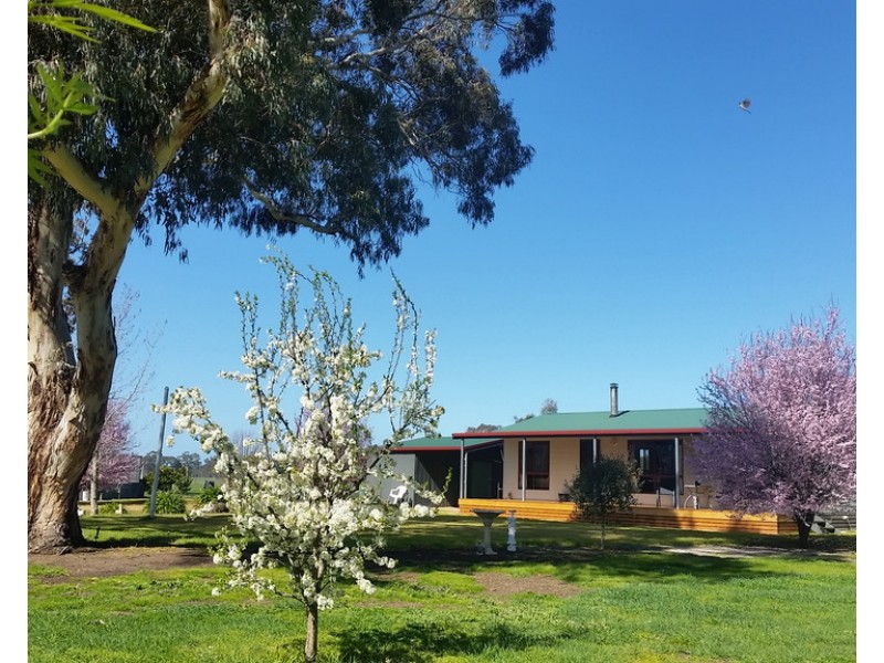 1020 Boddingtons West Road, Naracoorte SA 5271