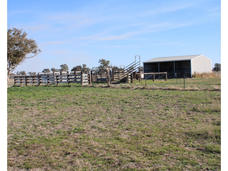 1020 Boddingtons West Road, Naracoorte SA 5271