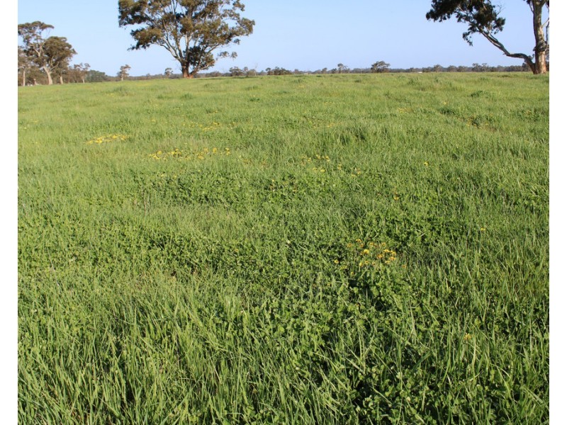 1020 Boddingtons West Road, Naracoorte SA 5271