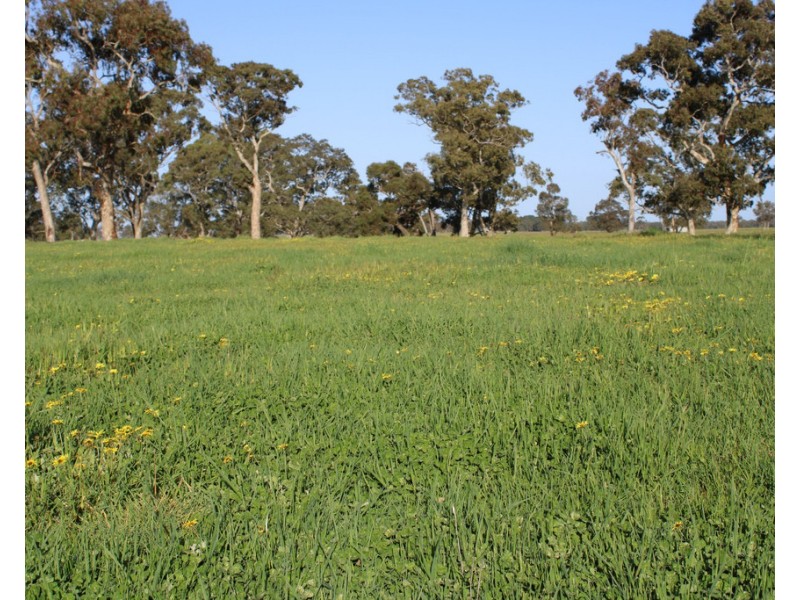 1020 Boddingtons West Road, Naracoorte SA 5271