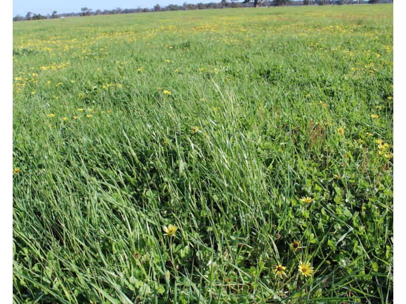 1020 Boddingtons West Road, Naracoorte SA 5271