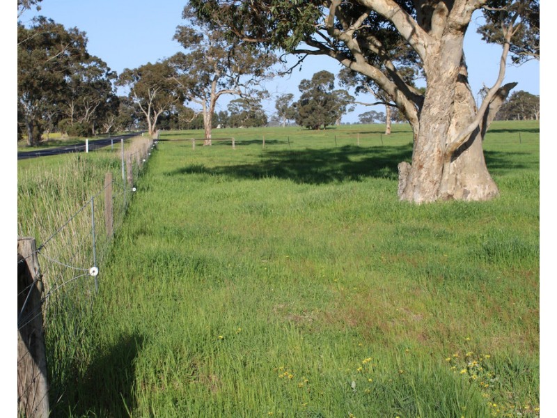 1020 Boddingtons West Road, Naracoorte SA 5271