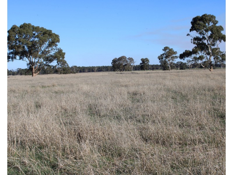 1020 Boddingtons West Road, Naracoorte SA 5271