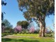1020 Boddingtons West Road, Naracoorte SA 5271