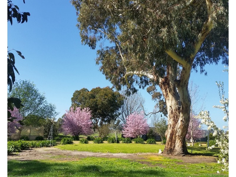 1020 Boddingtons West Road, Naracoorte SA 5271