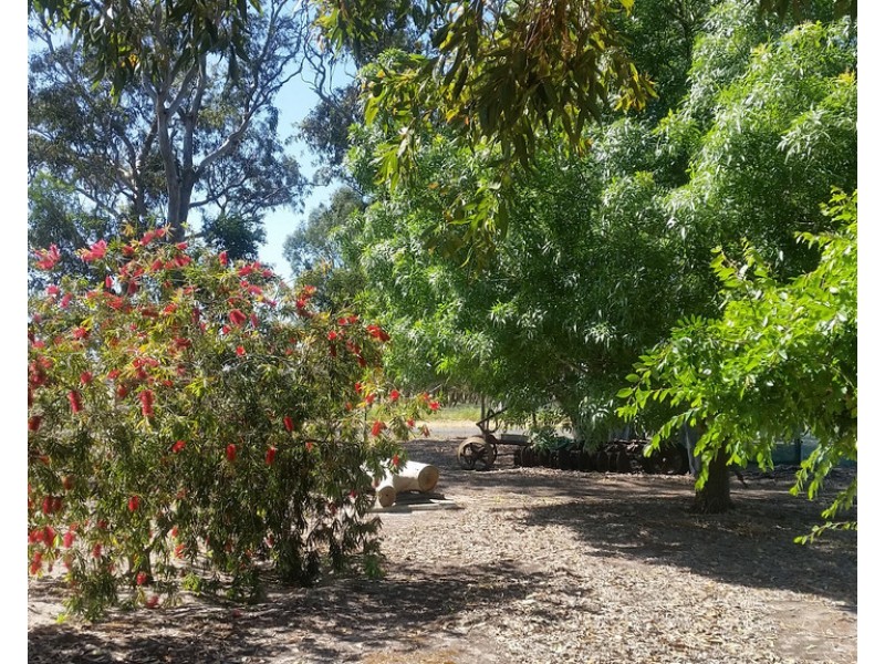 1020 Boddingtons West Road, Naracoorte SA 5271