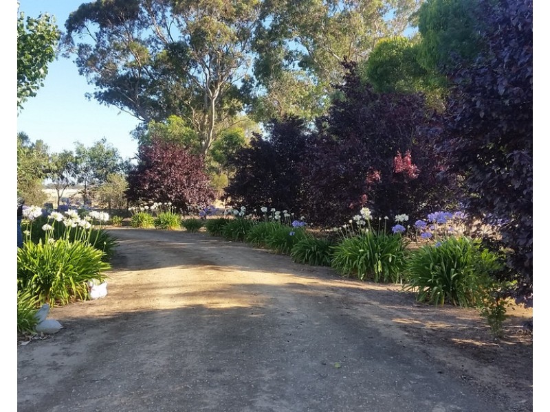 1020 Boddingtons West Road, Naracoorte SA 5271