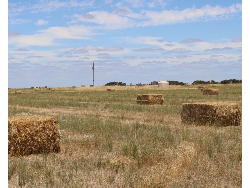 3 Moyhall Road, Moyhall SA 5271