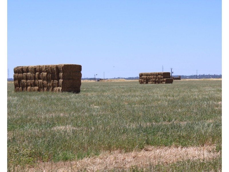 3 Moyhall Road, Moyhall SA 5271