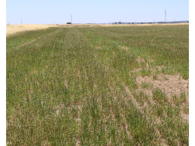 3 Moyhall Road, Moyhall SA 5271