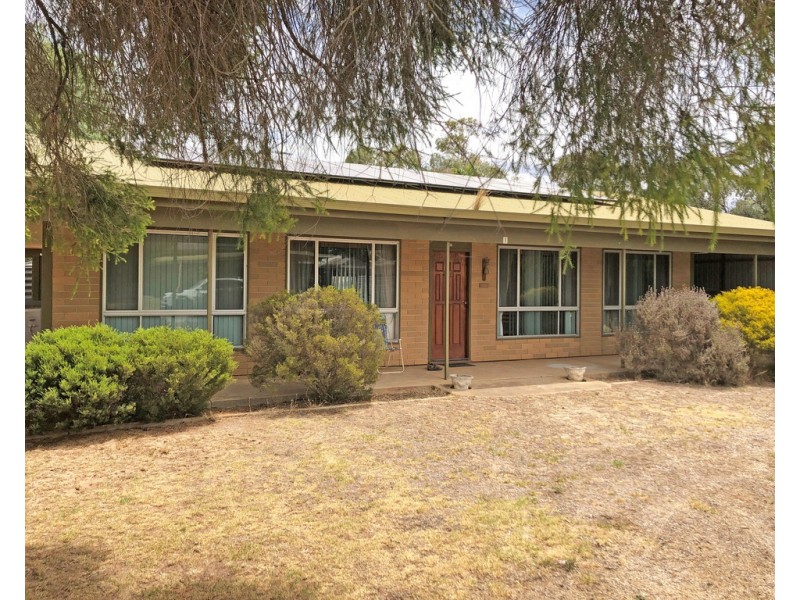1 Edwards Street, Padthaway SA 5271