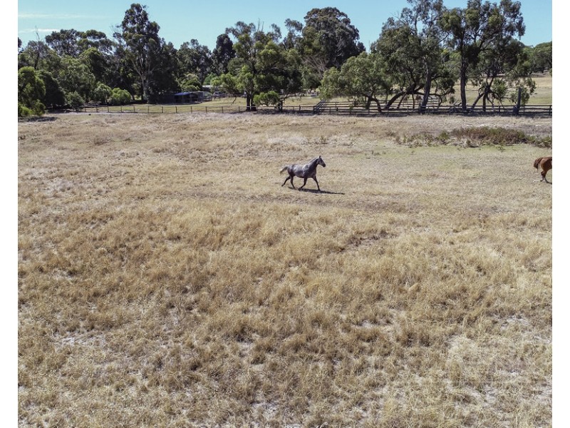 Lot 408 Riddoch Highway, Naracoorte SA 5271