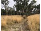 Lot 1000 Premier Drive, Naracoorte SA 5271