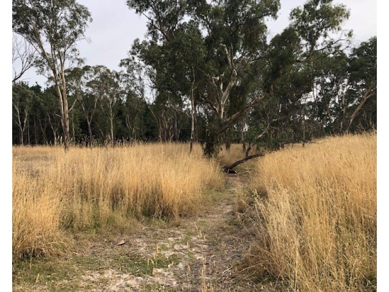 Lot 1000 Premier Drive, Naracoorte SA 5271