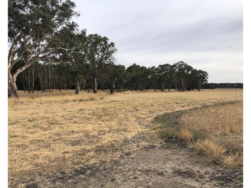 Lot 1000 Premier Drive, Naracoorte SA 5271