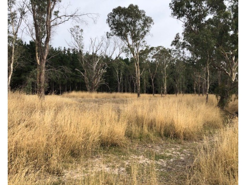 Lot 1000 Premier Drive, Naracoorte SA 5271