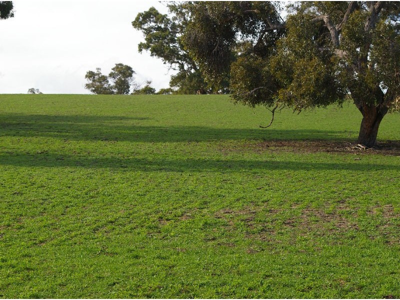 Yallamurray Road, Padthaway SA 5271