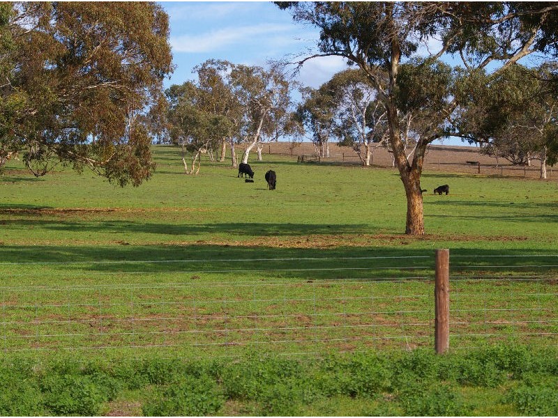 Yallamurray Road, Padthaway SA 5271