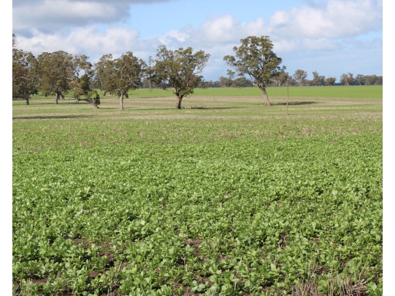 Lot 673 Walkington Hills Road, Frances SA 5262