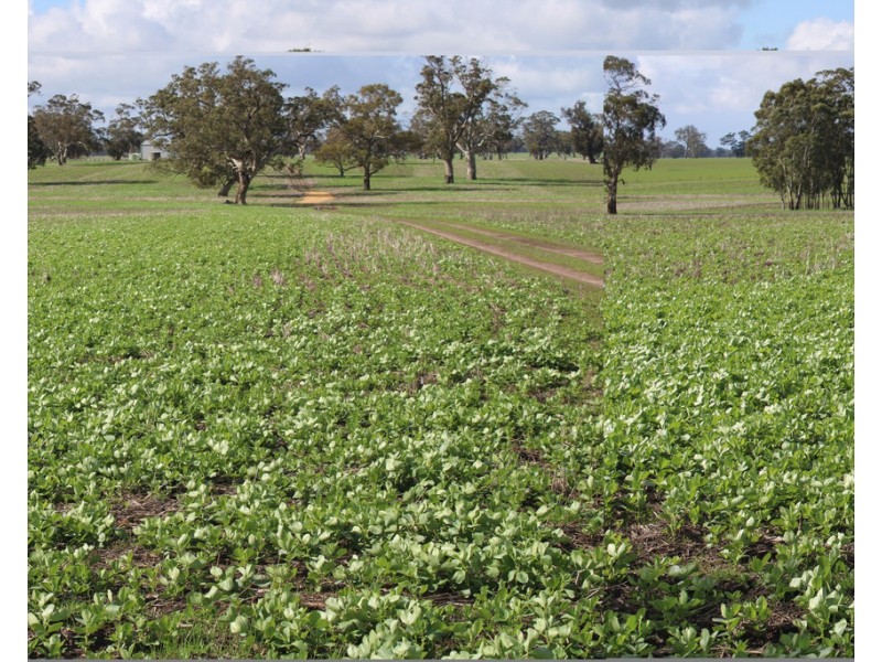 Lot 673 Walkington Hills Road, Frances SA 5262