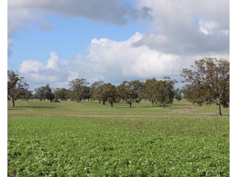 Lot 673 Walkington Hills Road, Frances SA 5262