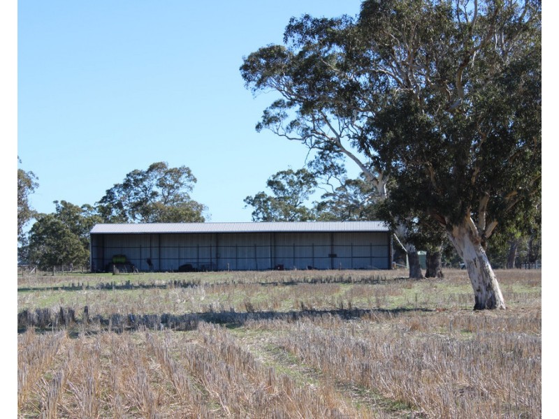 Lot 673 Walkington Hills Road, Frances SA 5262