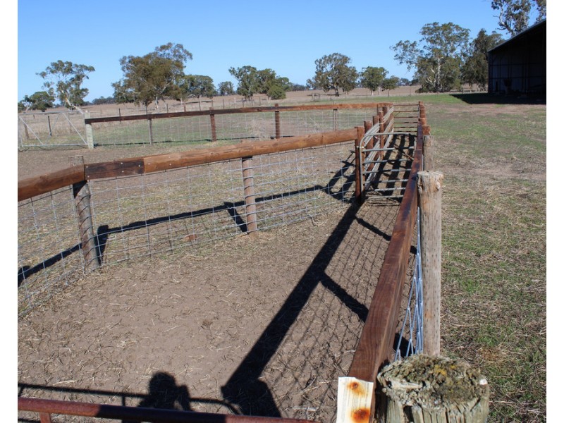 Lot 673 Walkington Hills Road, Frances SA 5262