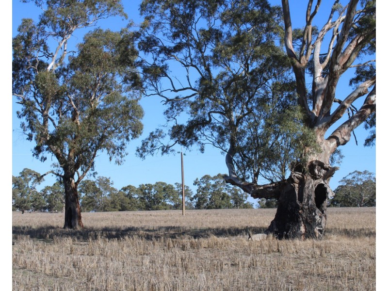 Lot 673 Walkington Hills Road, Frances SA 5262