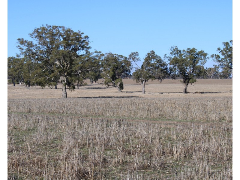 Lot 673 Walkington Hills Road, Frances SA 5262