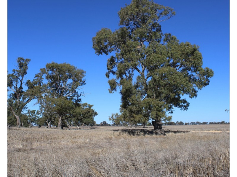 Lot 673 Walkington Hills Road, Frances SA 5262