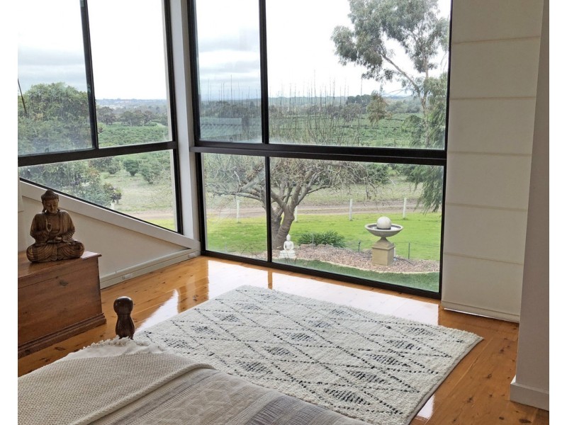 161 Hampton Road, Naracoorte SA 5271