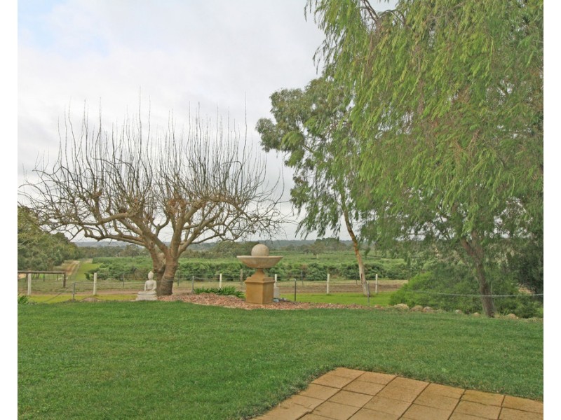 161 Hampton Road, Naracoorte SA 5271