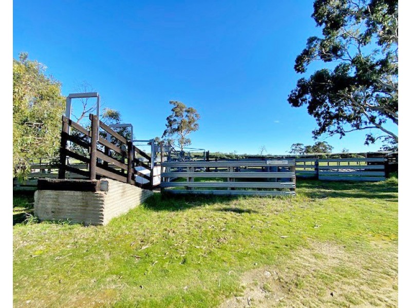 161 Hampton Road, Naracoorte SA 5271