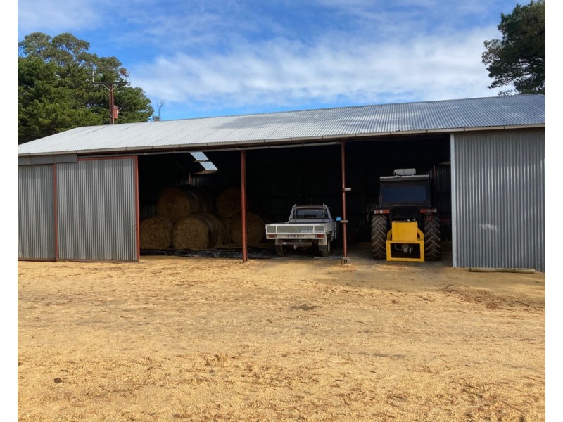 161 Hampton Road, Naracoorte SA 5271