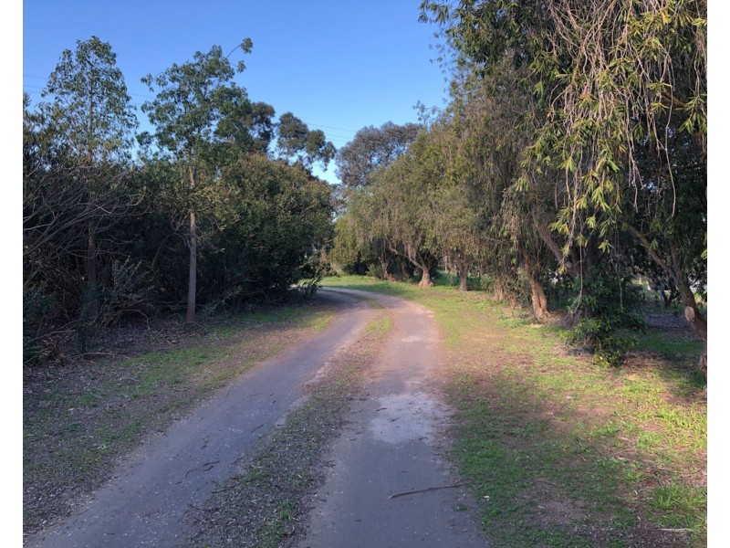 10037 Riddoch Highway, Naracoorte SA 5271