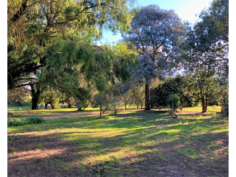 10037 Riddoch Highway, Naracoorte SA 5271