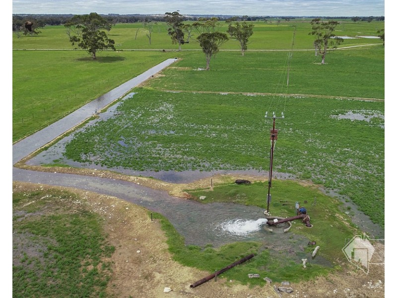 4852 Riddoch Highway, Padthaway SA 5271