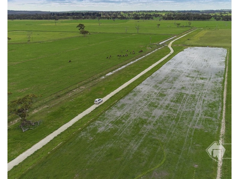 4852 Riddoch Highway, Padthaway SA 5271