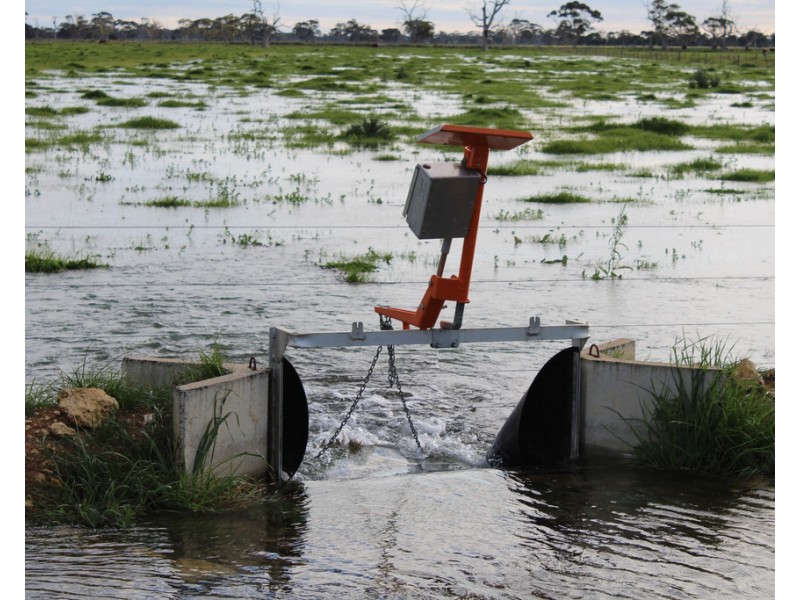 4852 Riddoch Highway, Padthaway SA 5271