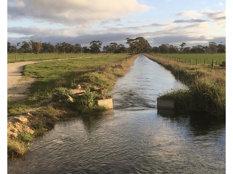 4852 Riddoch Highway, Padthaway SA 5271