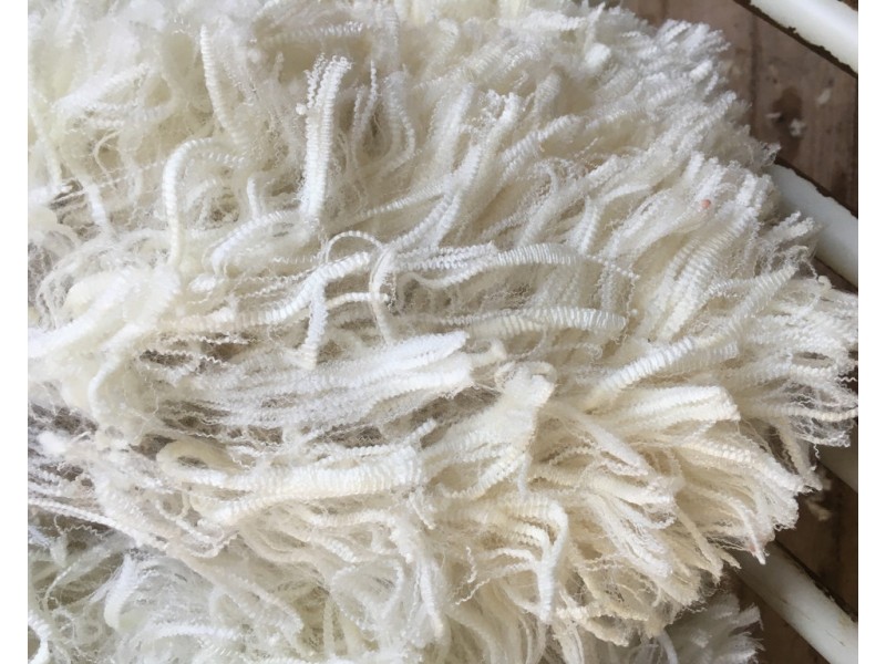 4852 Riddoch Highway, Padthaway SA 5271