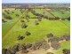 675 Cadgee Road, Naracoorte SA 5271