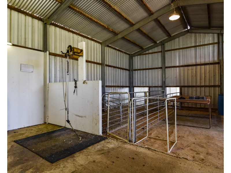 675 Cadgee Road, Naracoorte SA 5271