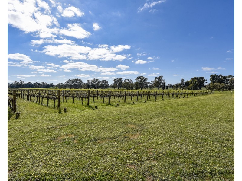 675 Cadgee Road, Naracoorte SA 5271