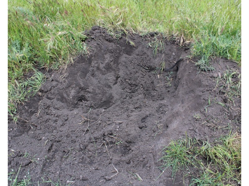 10456 Riddoch Highway, Naracoorte SA 5271