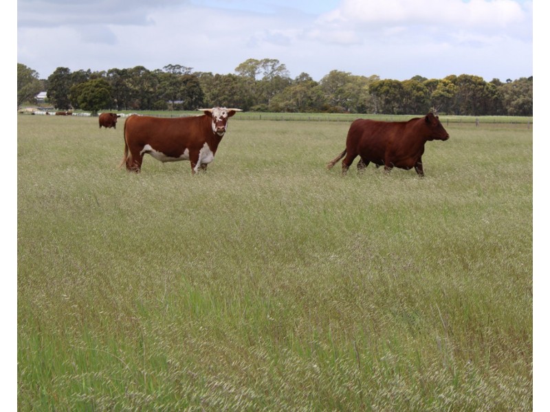 10456 Riddoch Highway, Naracoorte SA 5271