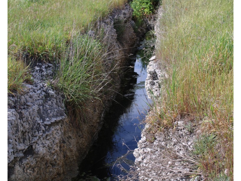 10456 Riddoch Highway, Naracoorte SA 5271