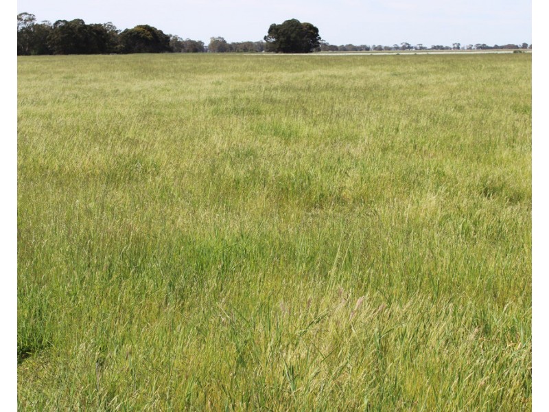 10456 Riddoch Highway, Naracoorte SA 5271